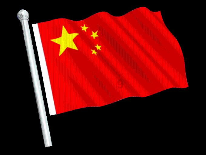 卡哇伊拳击手