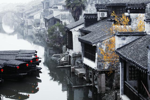 要与癌症顽强斗争，人得了癌症后应注意什么？游戏画面
